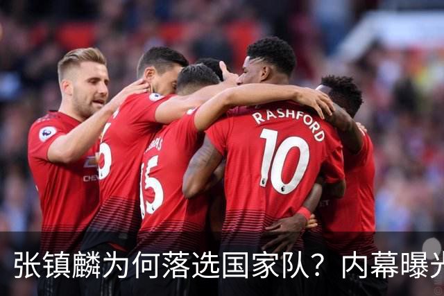 张镇麟为何落选国家队？内幕曝光，叫人心疼，郭士强并没放弃他